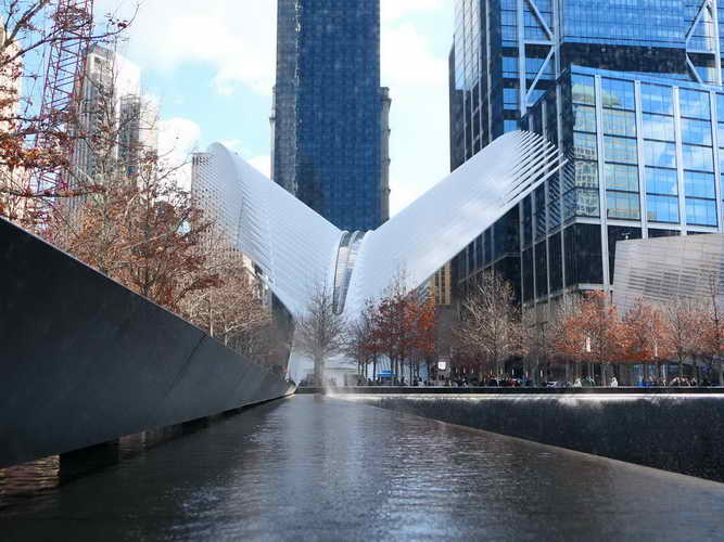 NYC_2020-02-03 11-48-24_P1090484